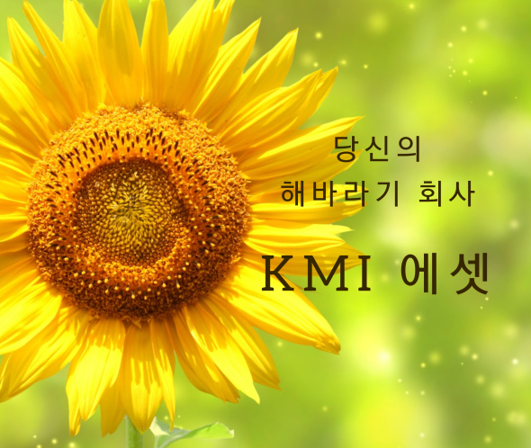 해바라기 기업